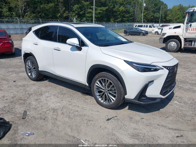 2025 LEXUS NX PREMIUM