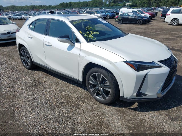 2024 LEXUS UX PREMIUM