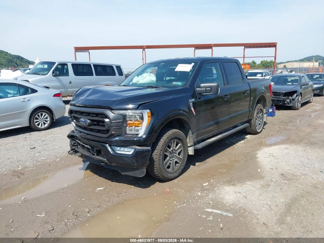 2023 FORD F-150 XLT 2