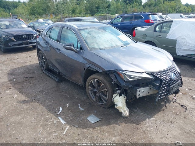 2019 LEXUS UX 