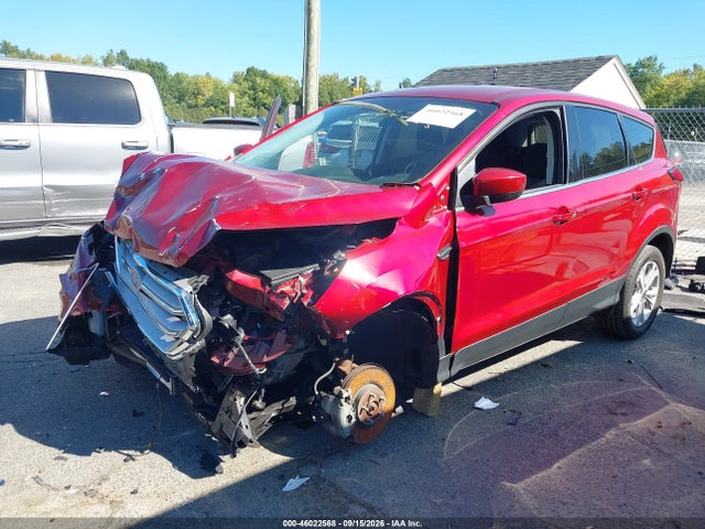 2019 FORD ESCAPE SE 2