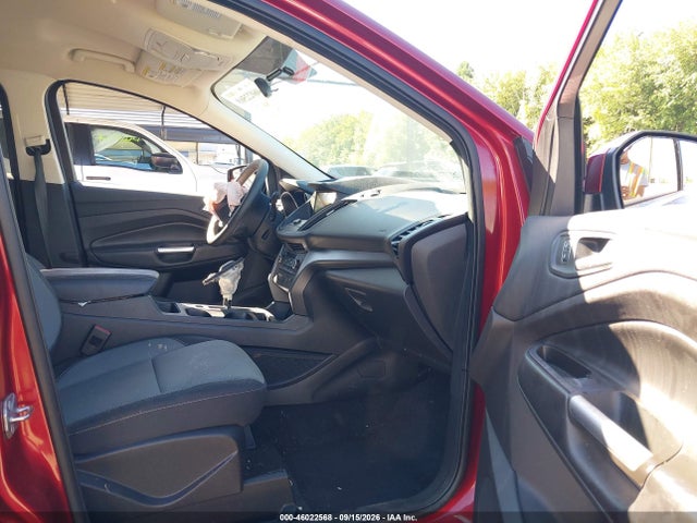 2019 FORD ESCAPE SE 5