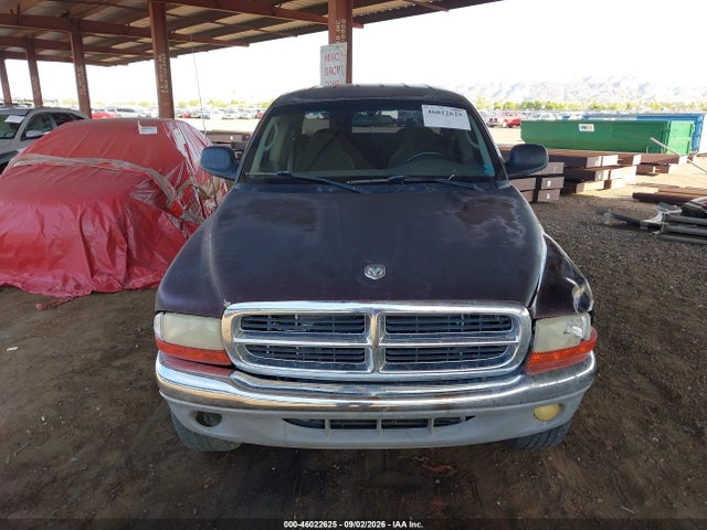 2004 Dodge DAKOTA SLT 照片 12
