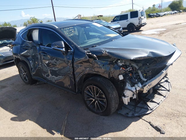 2024 Lexus NX 350 Premium