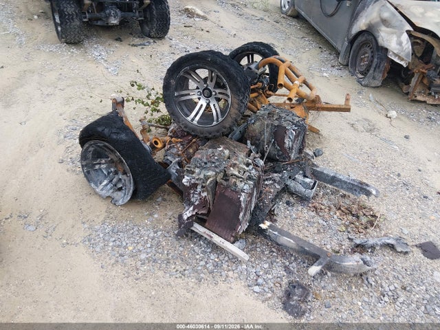 2023 OTHER BURNT GOLF CART 10
