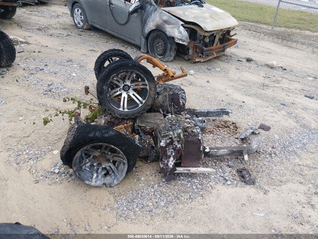 2023 OTHER BURNT GOLF CART 2