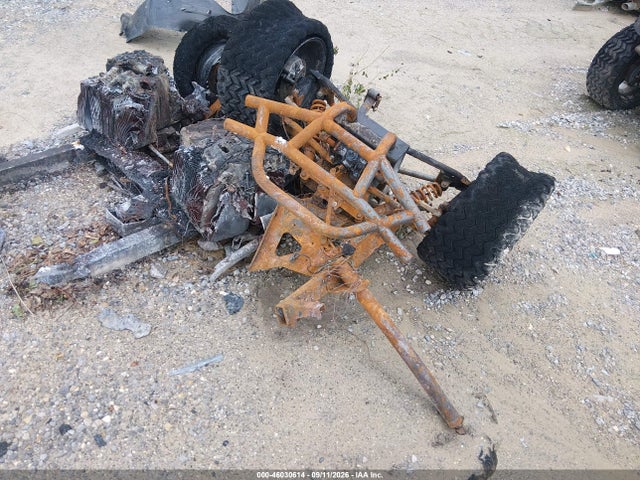 2023 OTHER BURNT GOLF CART 4