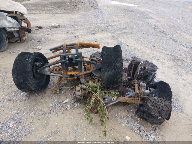 2023 OTHER BURNT GOLF CART 6