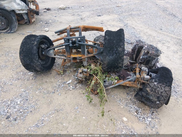 2023 OTHER BURNT GOLF CART 7