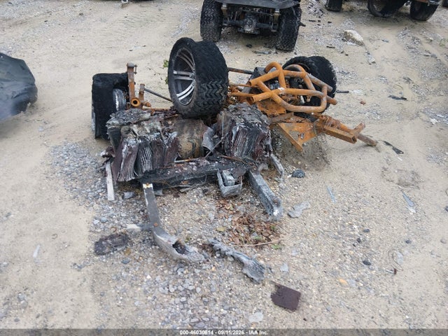 2023 OTHER BURNT GOLF CART 9