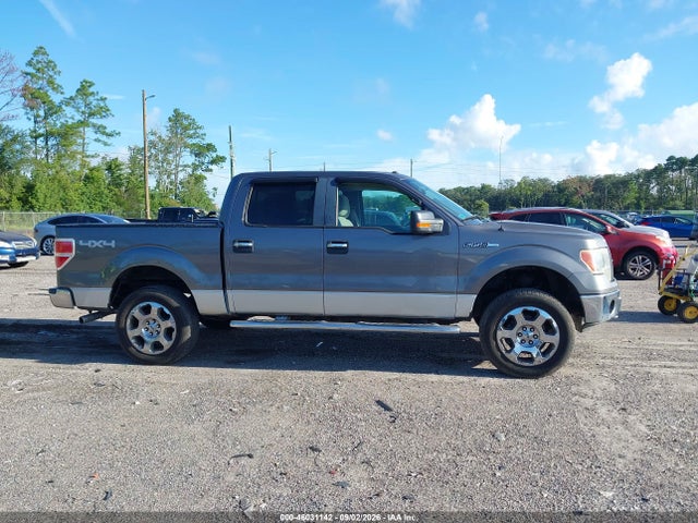 2010 FORD F-150 照片 13