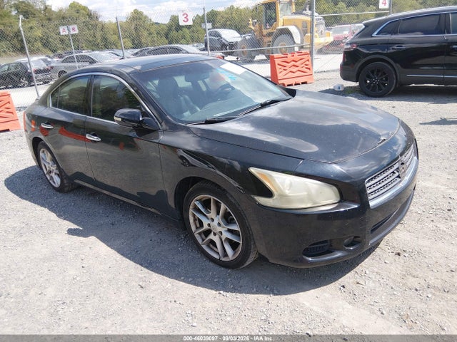 2011 NISSAN MAXIMA 3.5 SV