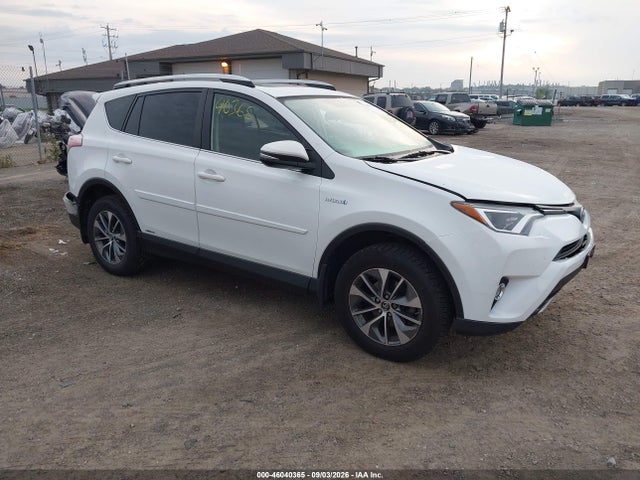 2016 TOYOTA RAV4 XLE
