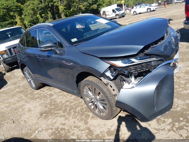 2024 TOYOTA VENZA XLE