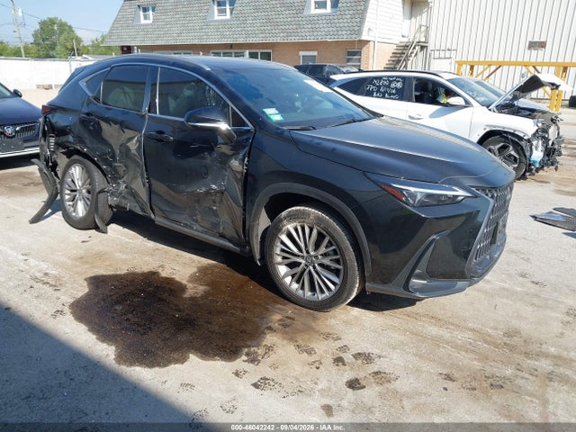 2025 LEXUS NX PREMIUM