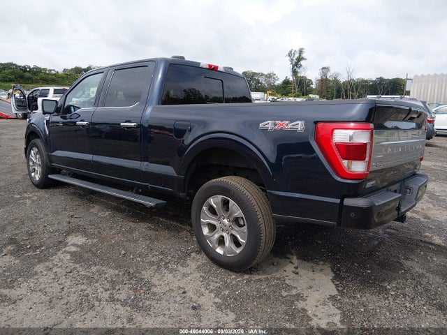 2023 FORD F-150 PLATINUM 3