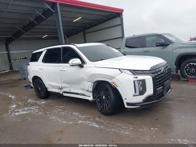 2024 HYUNDAI PALISADE CALLIGRAPHY NIGHT EDITION 13