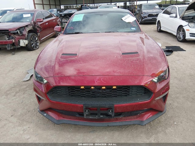 2019 FORD MUSTANG ECOBOOST 12