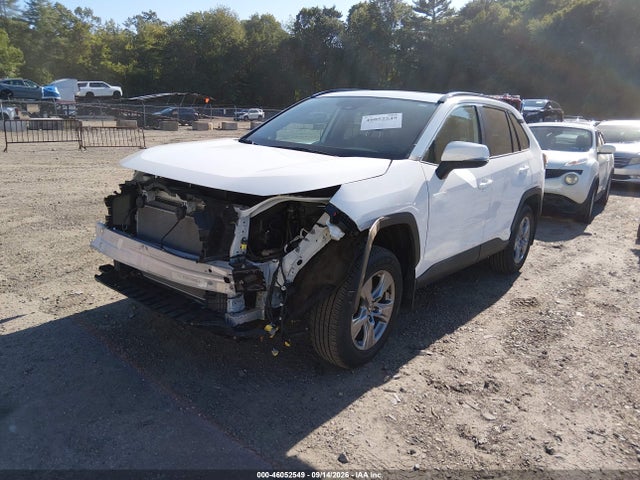 2024 TOYOTA RAV4 XLE 2