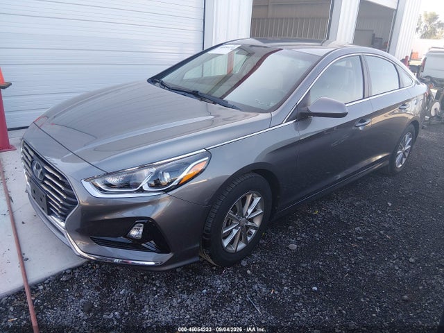 2019 HYUNDAI SONATA ECO 2