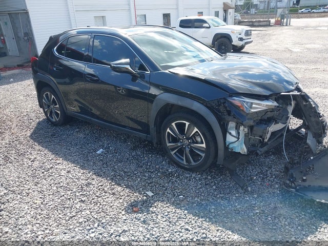 2019 LEXUS UX 