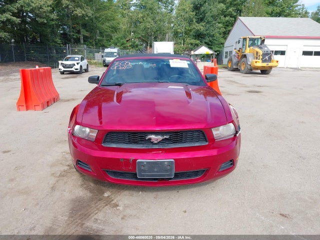 صورة 12 لـ 2012 FORD MUSTANG V6