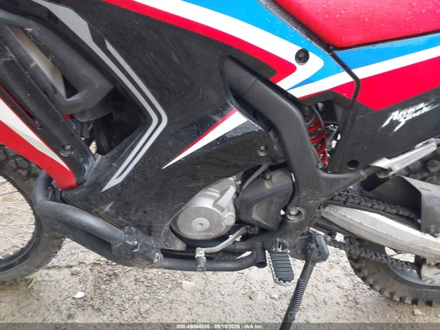 2023 HONDA CRF300 LRA 9