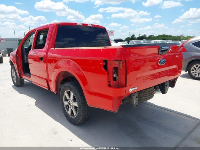 2019 FORD F-150 XLT 3