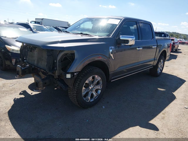 2023 FORD F-150 PLATINUM 2