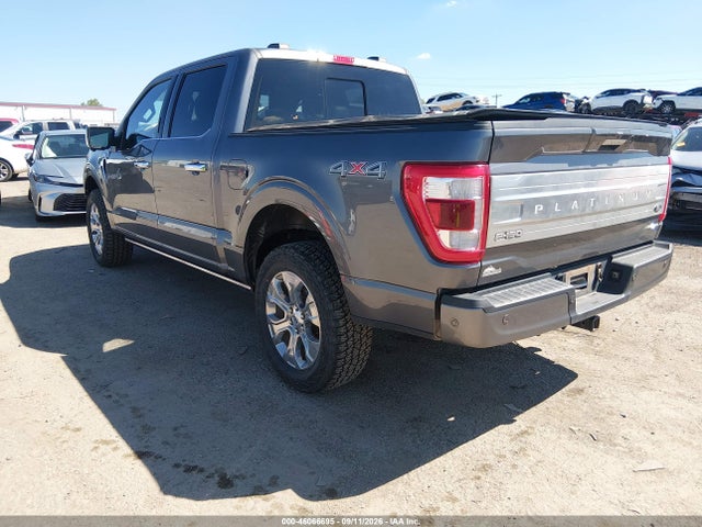 2023 FORD F-150 PLATINUM 3