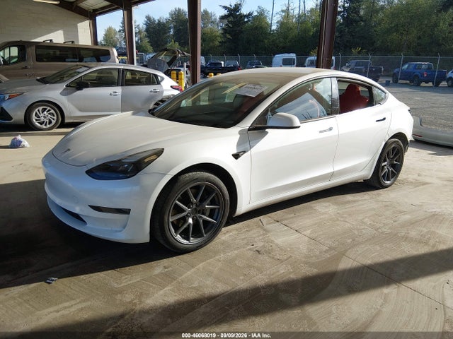 2023 TESLA MODEL 3 REAR-WHEEL DRIVE 2