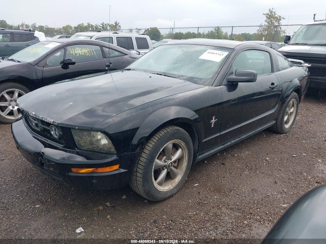 صورة 2 لـ 2006 FORD MUSTANG V6