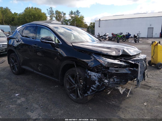 2024 Lexus NX 450H+ Luxury