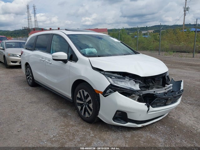 2025 HONDA ODYSSEY EX-L