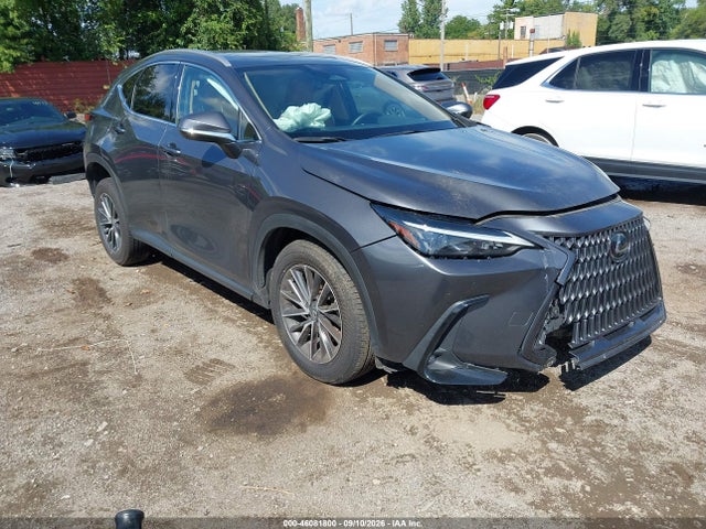 2025 LEXUS NX 