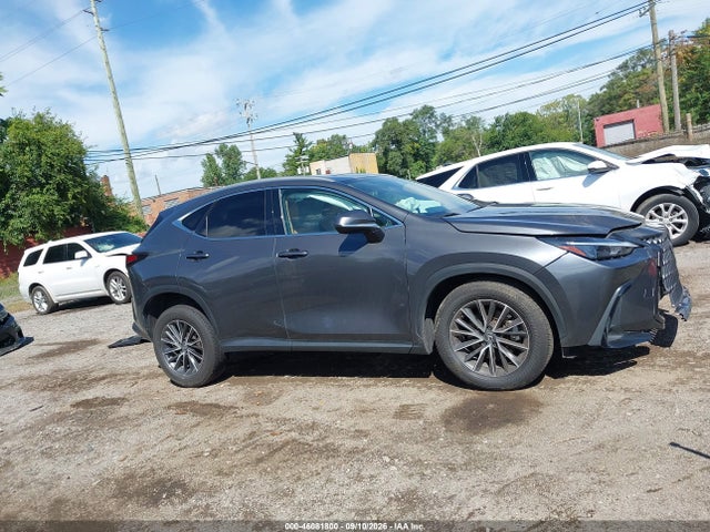 2025 LEXUS NX 350 13
