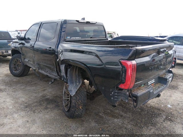 2022 TOYOTA TUNDRA PLATINUM 3