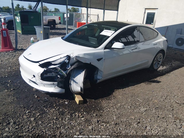 2023 TESLA MODEL 3 REAR-WHEEL DRIVE 2