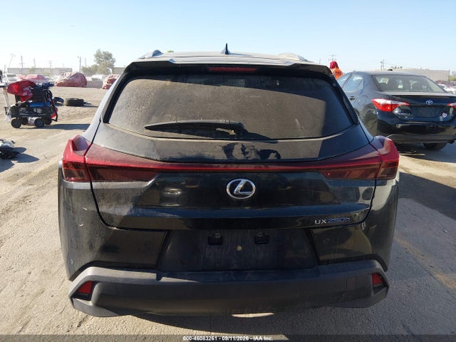 2021 LEXUS UX 250H 17