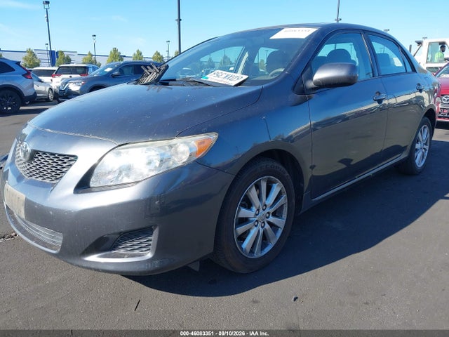 2009 Toyota COROLLA XLE 照片 2