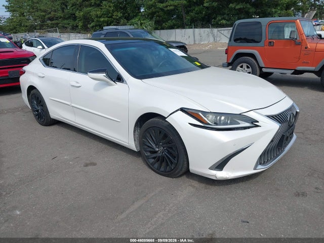 2019 LEXUS ES LUXURY