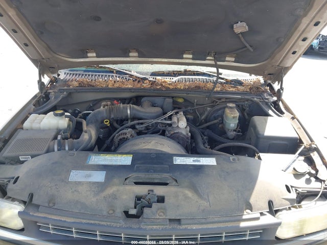2001 Chevrolet SILVERADO 1500 LS 照片 10