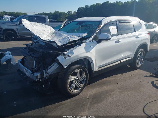 2023 HYUNDAI SANTA FE SEL 2
