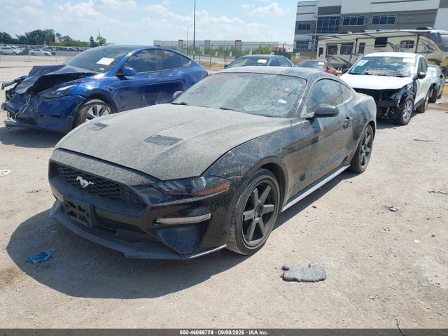 2019 FORD MUSTANG ECOBOOST 2
