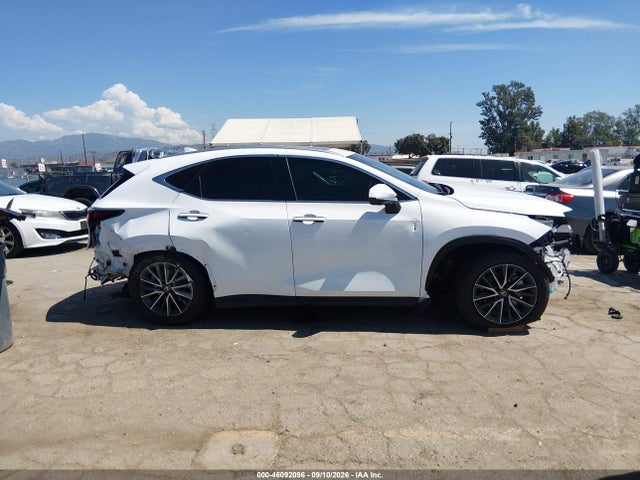 2026 LEXUS NX 350H PREMIUM 14