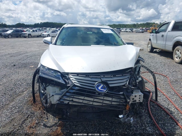 2019 LEXUS RX 450HL LUXURY 13