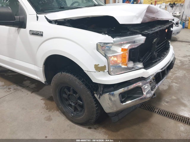 2019 FORD F-150 XLT 11