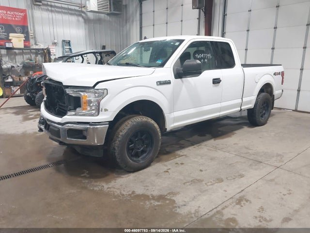 2019 FORD F-150 XLT 2