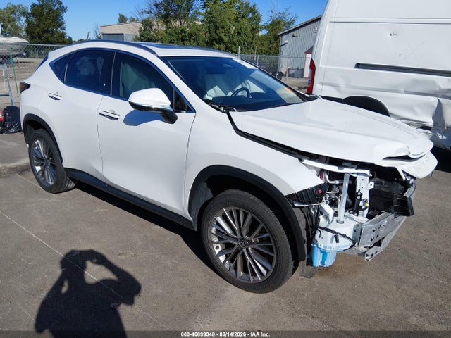 2025 LEXUS NX PREMIUM