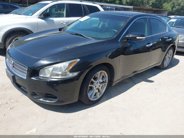 2010 Nissan MAXIMA 3.5 SV — фото 2
